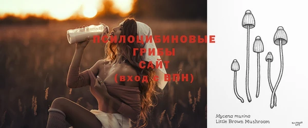 дмт Алексин