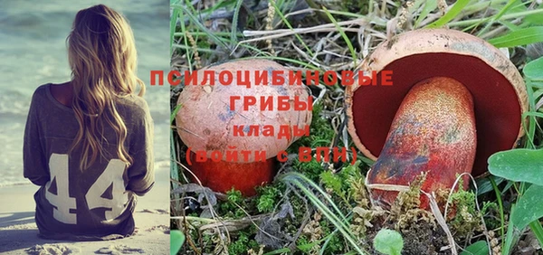 МДПВ Алексеевка