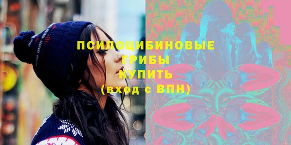 дмт Алексин