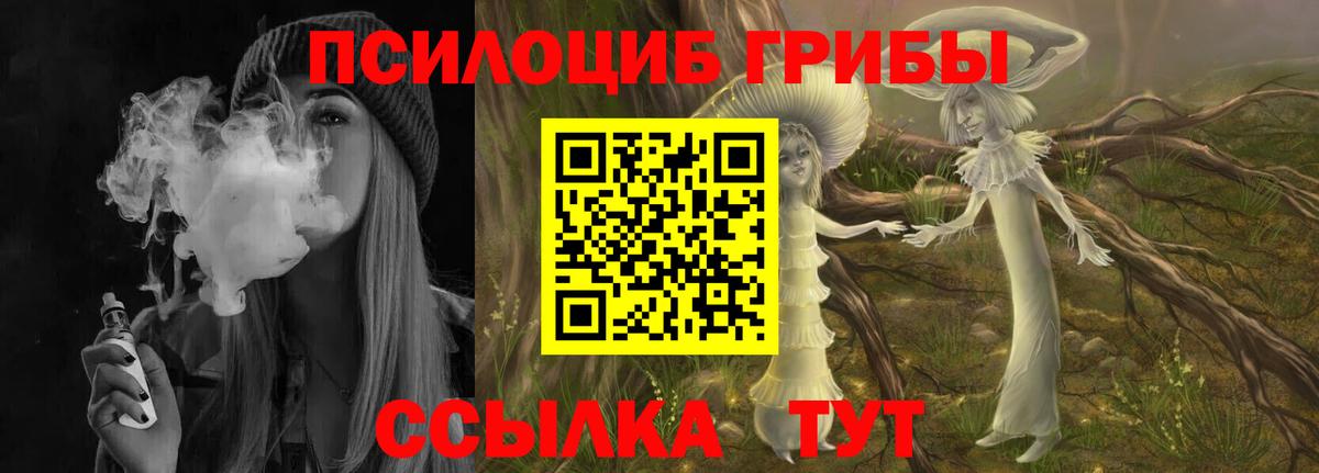 Псилоцибиновые грибы Psilocybine cubensis Глазов